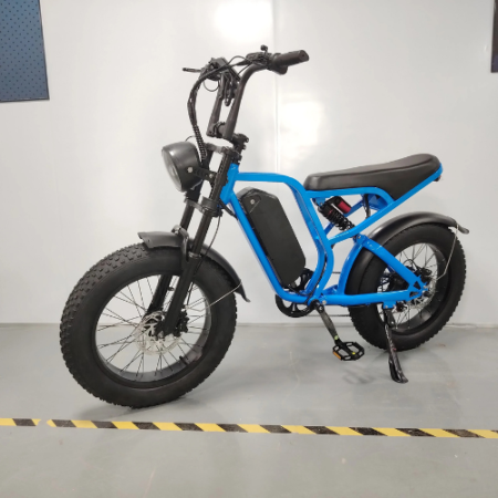 Retro Bike 48v 20ah